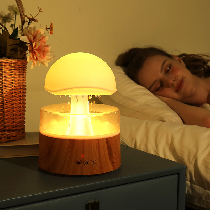 Rain Cloud Humidifier & Aroma Diffuser product image 8